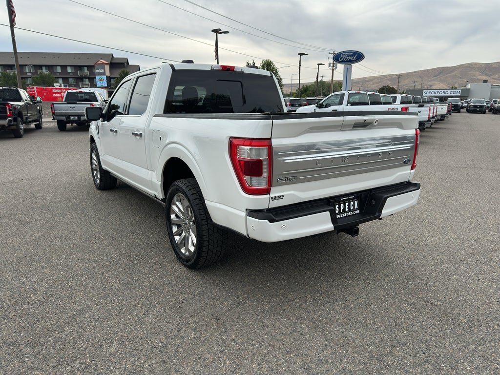 2021 Ford F-150 — side profile view